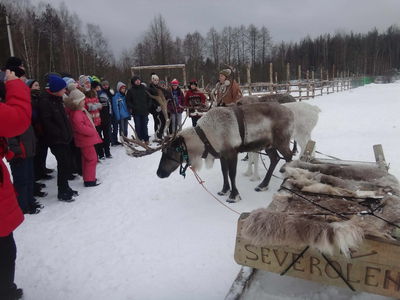 Нажмите, чтобы посмотреть в полный размер