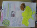 DSC01835.jpg