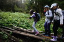 DSC07462.JPG