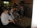 IMG_2943.jpg