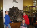 IMG_2947.jpg