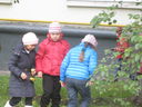IMG_5331.JPG